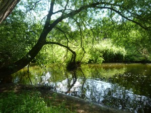 Image of themWheelock River